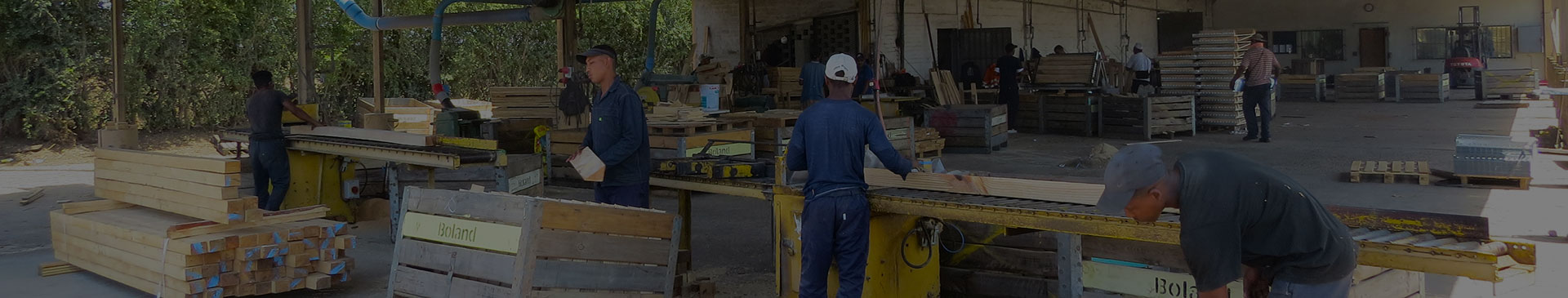Boland Bins Services